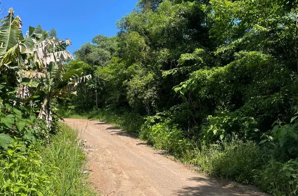 Sítio para venda,  Linha 28, Três Coroas