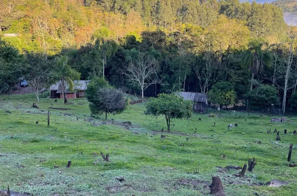 Sítio para venda,  Aguas Brancas, Três Coroas