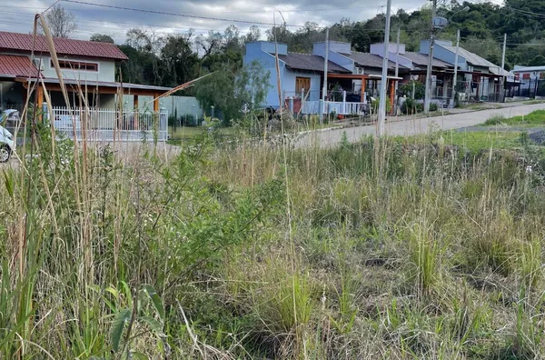 Terreno para venda,  Linha Café Baixa, Três Coroas