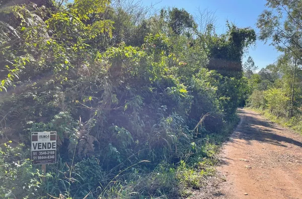 Sítio para venda,  Batingueira, Figueira, Três Coroas/RS