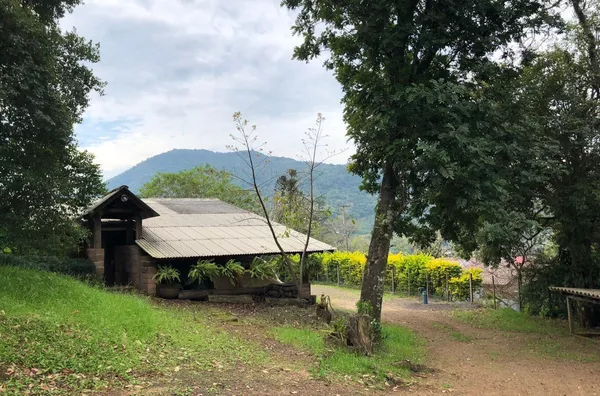 Sítio para venda, 4 quarto(s),  - Selecione - Bairro, Canela
