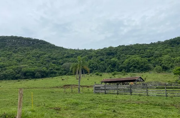 Sítio para venda,  Linha 28, Três Coroas