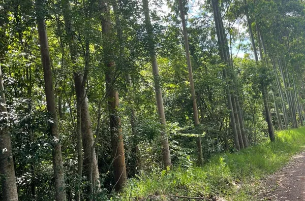 Sítio para venda,  Linha 28, Três Coroas