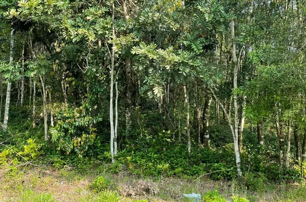 Terreno para venda,  - Selecione - Bairro, Três Coroas