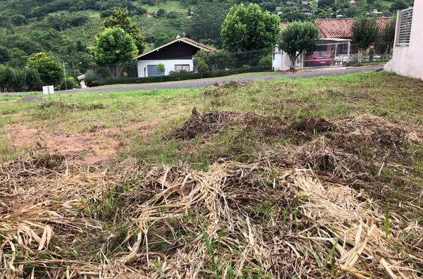 Terreno para venda,  Centro, Três Coroas