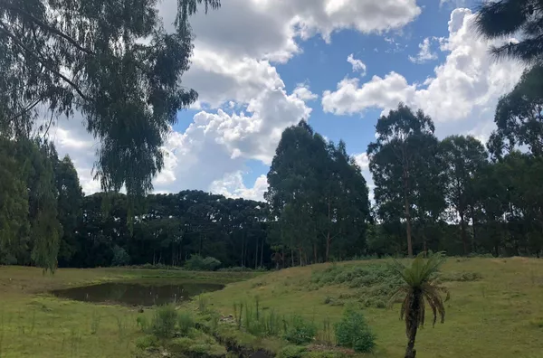 Sítio para venda,  Barragem Salto, Sao Francisco De Paula