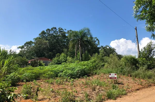 Terreno para venda,  Figueira, Três Coroas