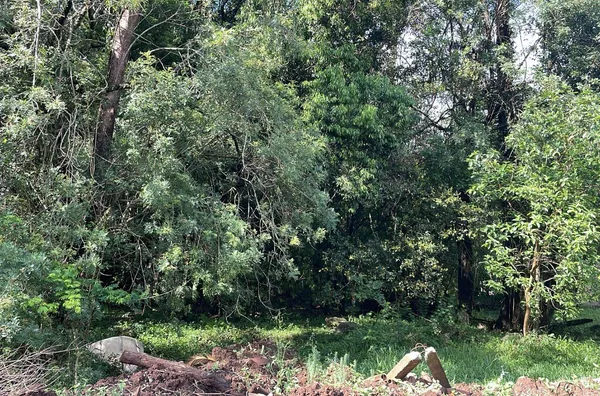 Terreno para venda,  Centro, Três Coroas