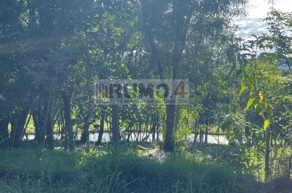 Sítio para venda,  Linha 28, Três Coroas