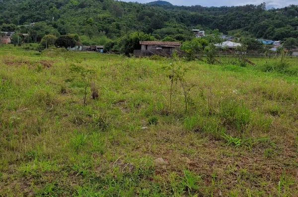 Terreno para venda,  Vila Nova, Três Coroas