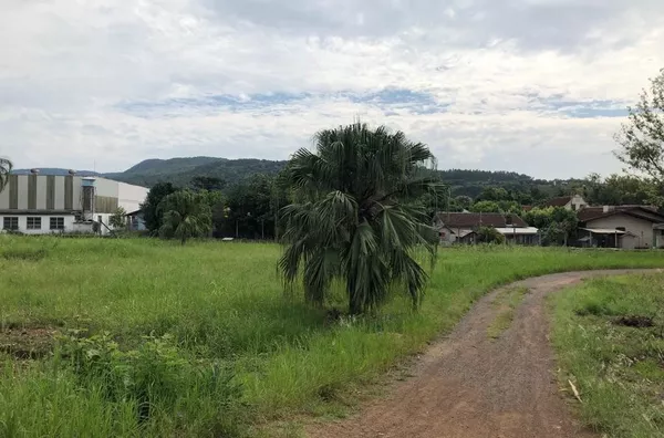 Terreno para venda,  Sander, Três Coroas