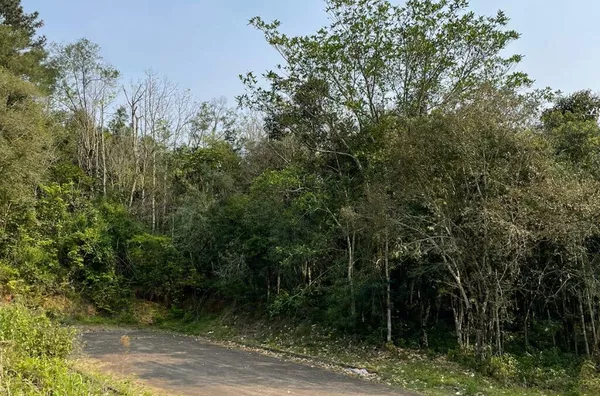 Terreno para venda,  Linha 28, Três Coroas