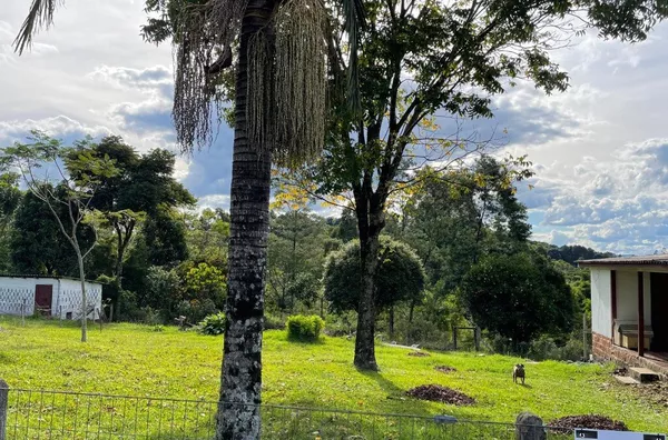Sítio para venda, 3 quarto(s),  Figueira, Três Coroas
