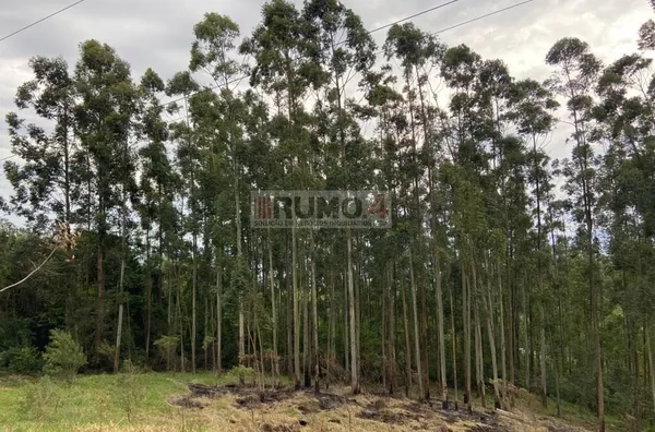 Sítio para venda,  - Selecione - Bairro, Igrejinha