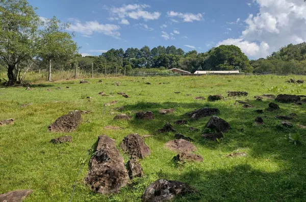 Sítio para venda, - Selecione - Bairro, Três Coroas - Foto 17