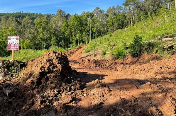 Sítio para venda,  Quilombo, Três Coroas