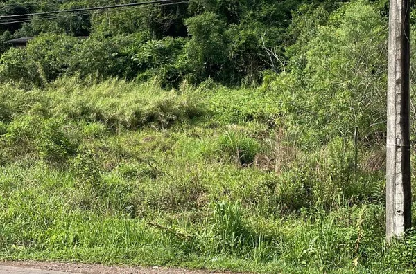 Terreno para venda,  Centro, Três Coroas