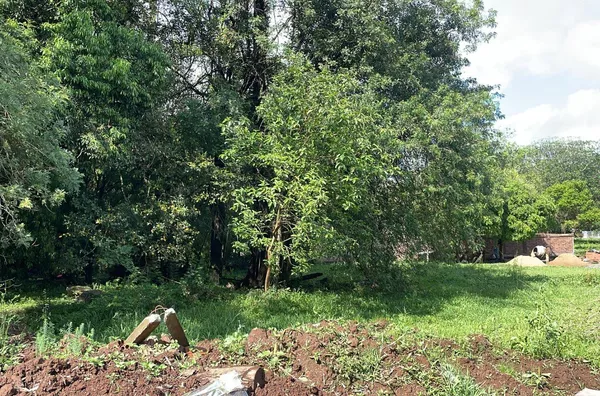Terreno para venda,  - Selecione - Bairro, Três Coroas