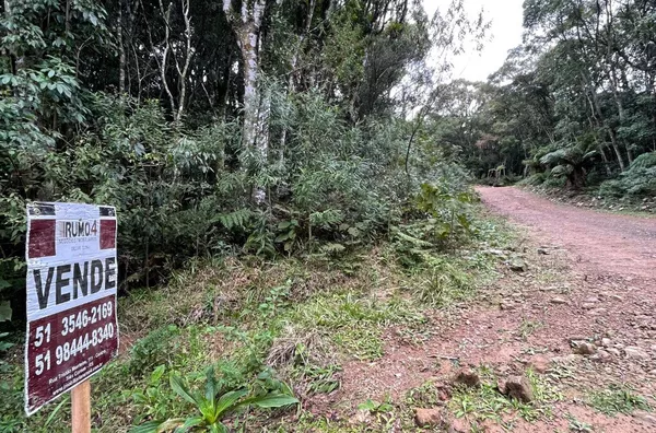 Terreno para venda,  Loteamento Colinas, Sao Francisco De Paula