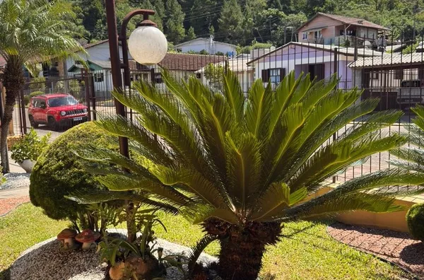 Casa para venda, 2 quarto(s), Viaduto, Três Coroas - Foto 6