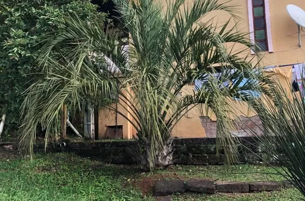 Casa para venda, 3 quarto(s),  - Selecione - Bairro, Três Coroas