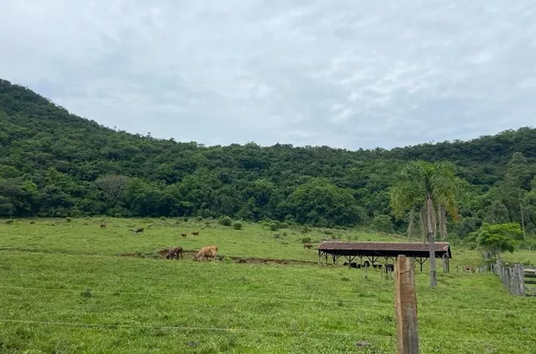 Sítio para venda,  Linha 28, Três Coroas