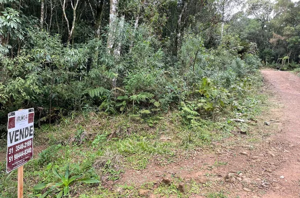 Terreno para venda,  Loteamento Colinas, Sao Francisco De Paula