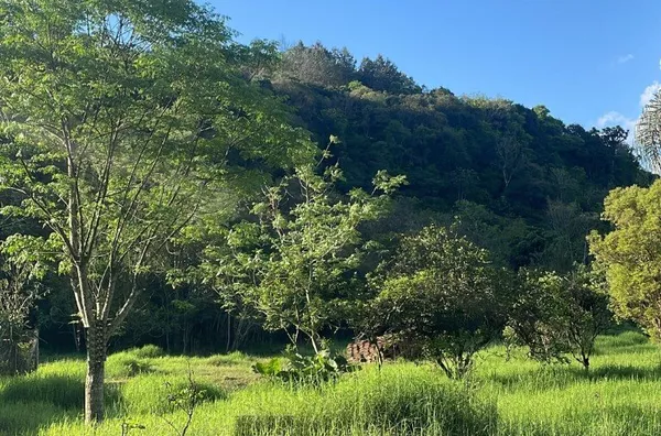 Terreno para venda,  Linha Café Baixa, Três Coroas
