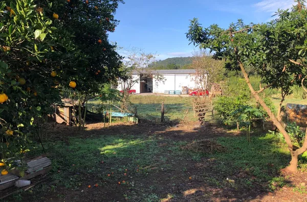 Terreno para venda,  Sander, Três Coroas