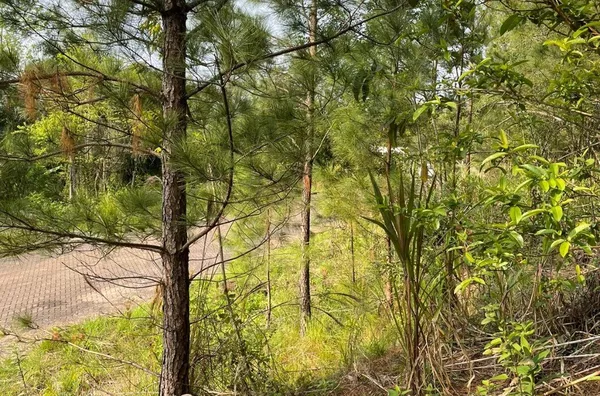 Terreno para venda,  Linha 28, Três Coroas