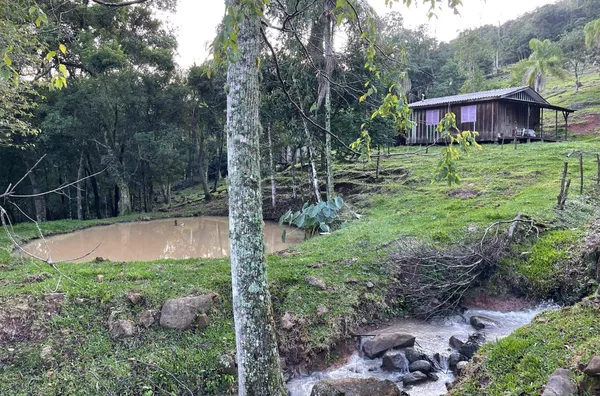Sítio para venda,  Aguas Brancas, Três Coroas