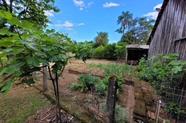 Casa para venda, 3 quarto(s), Quilombo, Três Coroas - Foto 16
