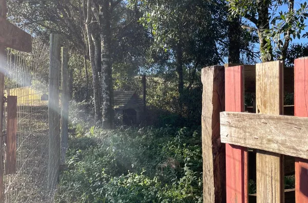 Chácara para venda, 4 quarto(s),  - Selecione - Bairro, Três Coroas