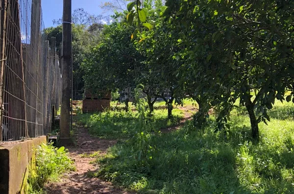 Terreno para venda,  Aguas Brancas, Três Coroas