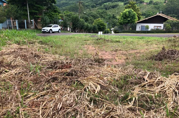 Terreno para venda,  Centro, Três Coroas
