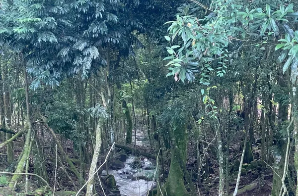 Sítio para venda,  Aguas Brancas, Três Coroas