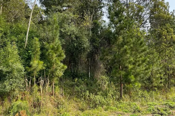 Terreno para venda,  - Selecione - Bairro, Três Coroas