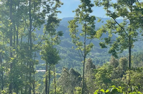 Sítio para venda,  Quilombo, Três Coroas