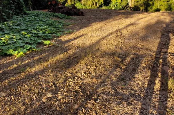 Terreno para venda,  Loteamento Eucaliptos, Três Coroas