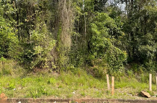 Terreno para venda,  Linha 28, Três Coroas
