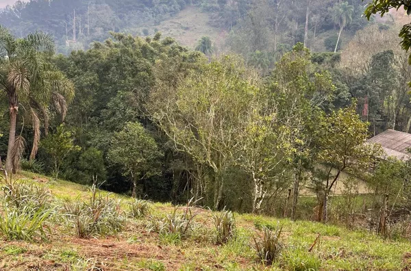 Terreno para venda,  - Selecione - Bairro, Três Coroas
