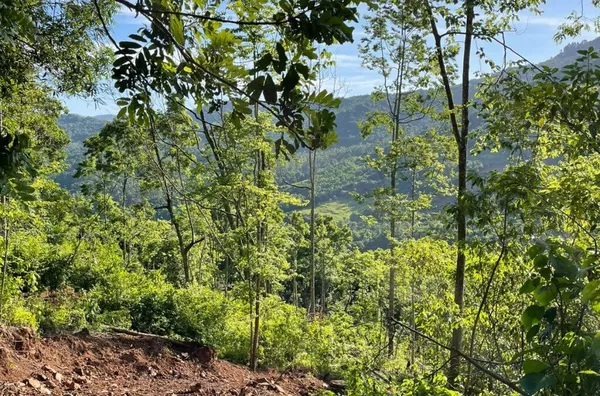 Sítio para venda,  Quilombo, Três Coroas