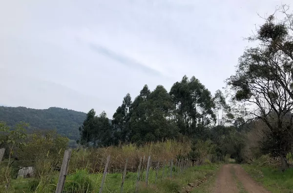 Sítio para venda, 4 quarto(s),  - Selecione - Bairro, Canela