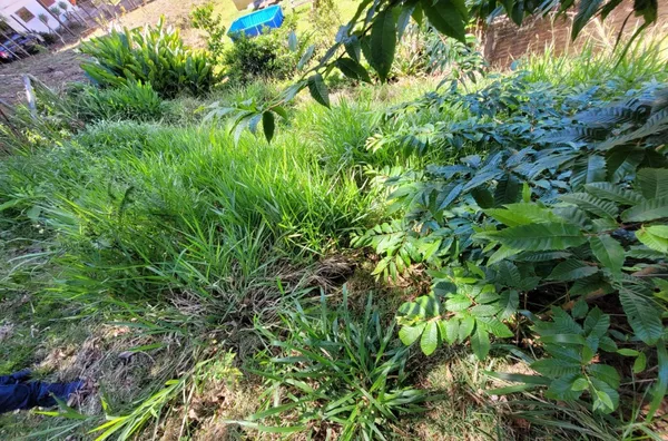 Terreno para venda, Quilombo, Três Coroas - Foto 7