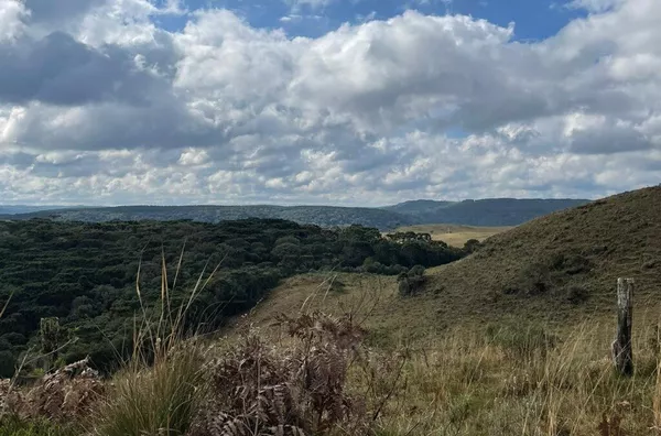 Fazenda para venda,  Matemático, Jaquirana