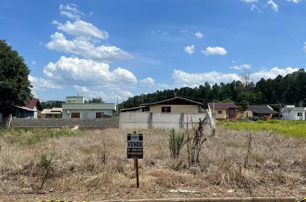 Terreno para venda,  Sander (cidade Verde), Três Coroas