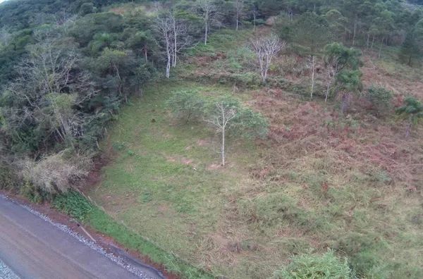 Terreno para venda,  Linha Café Baixa, Três Coroas