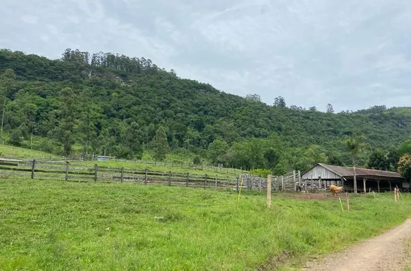 Sítio para venda,  Linha 28, Três Coroas
