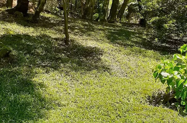 Terreno para venda,  Colinas De São Francisco, Sao Francisco De Paula