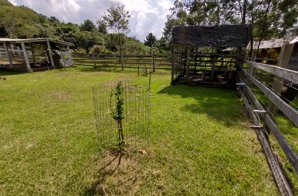 Sítio para venda, - Selecione - Bairro, Três Coroas - Foto 7